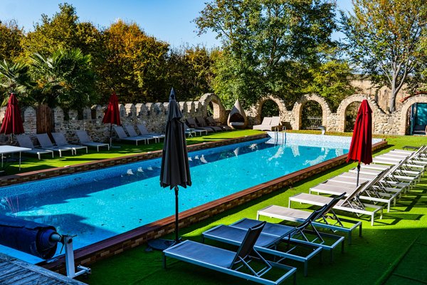 Cultivez Votre Potager Bio en Appliquant les Secrets de l'Agroécologie